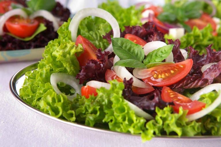 Régime végétarien : Est-ce adapté aux enfants ?