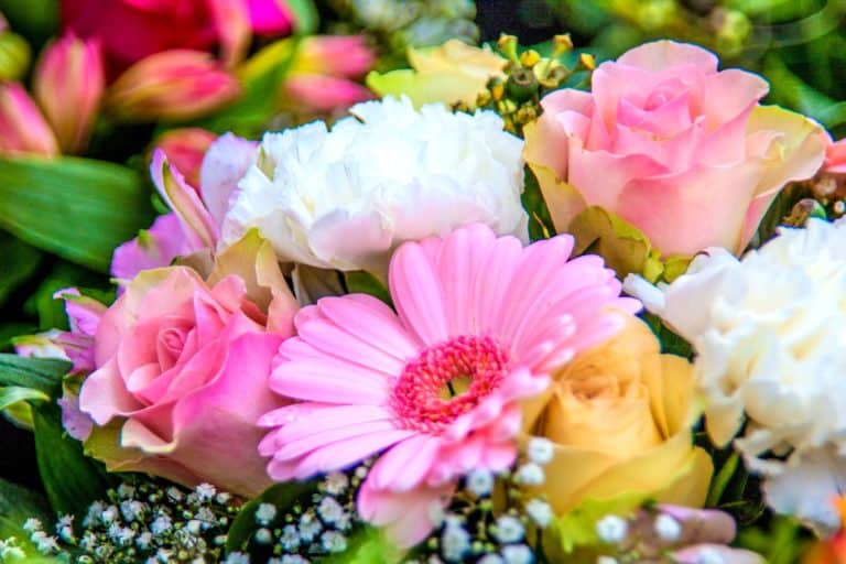 Quelle est la signification des fleurs ?