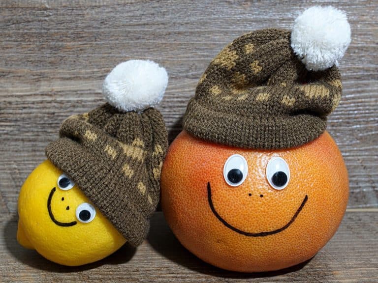 Quelques conseils pour la nutrition des bébés