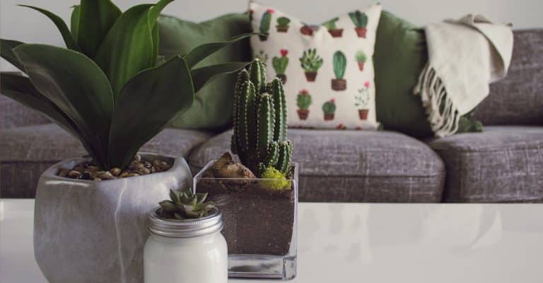 Comment mettre de la couleur dans sa déco intérieure ?
