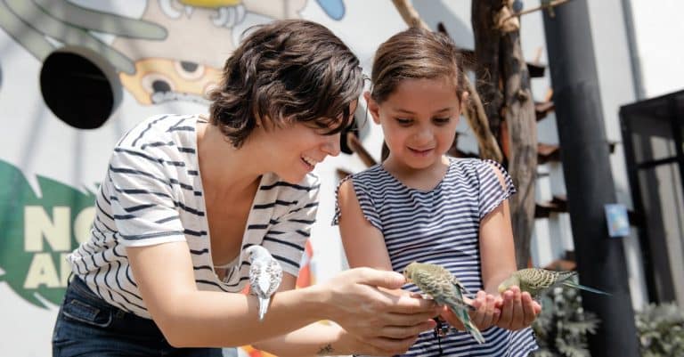 Quelles activités ludiques pratiquer en famille ?