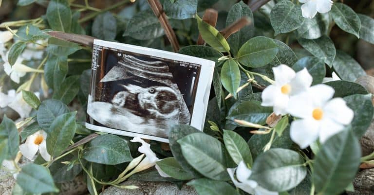 Comment prévenir et agir pour la santé familiale ?