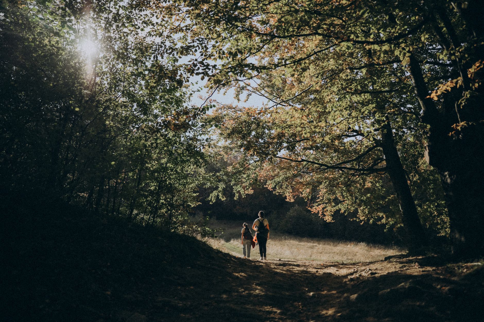 Comment explorer la faune et la flore en famille ?