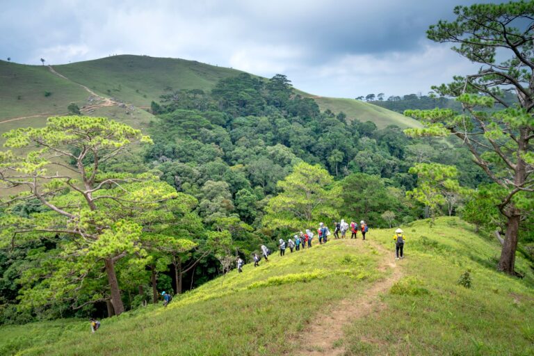 Envie d&rsquo;une escapade en montagne? Découvrez nos idées de sorties en famille!