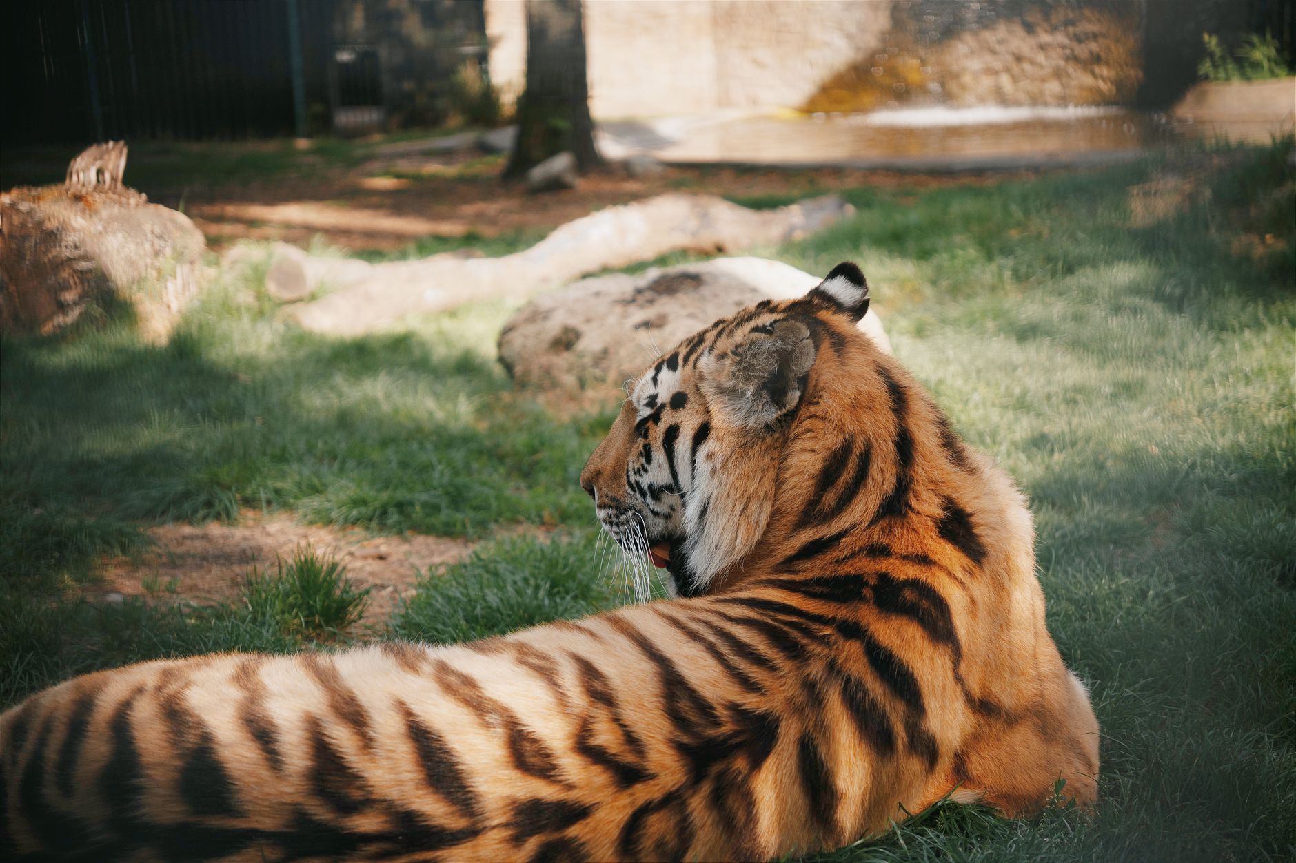Quels parcs animaliers visiter pour une sortie en famille ?